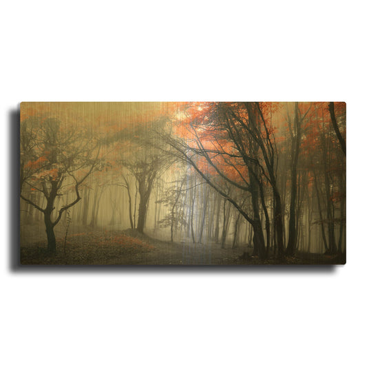 'Autumn Woods 1' By PhotoINC Studio Gold Metal Wall Art