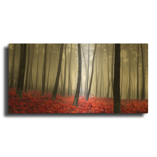 'Autumn Woods 2' By PhotoINC Studio Gold Metal Wall Art