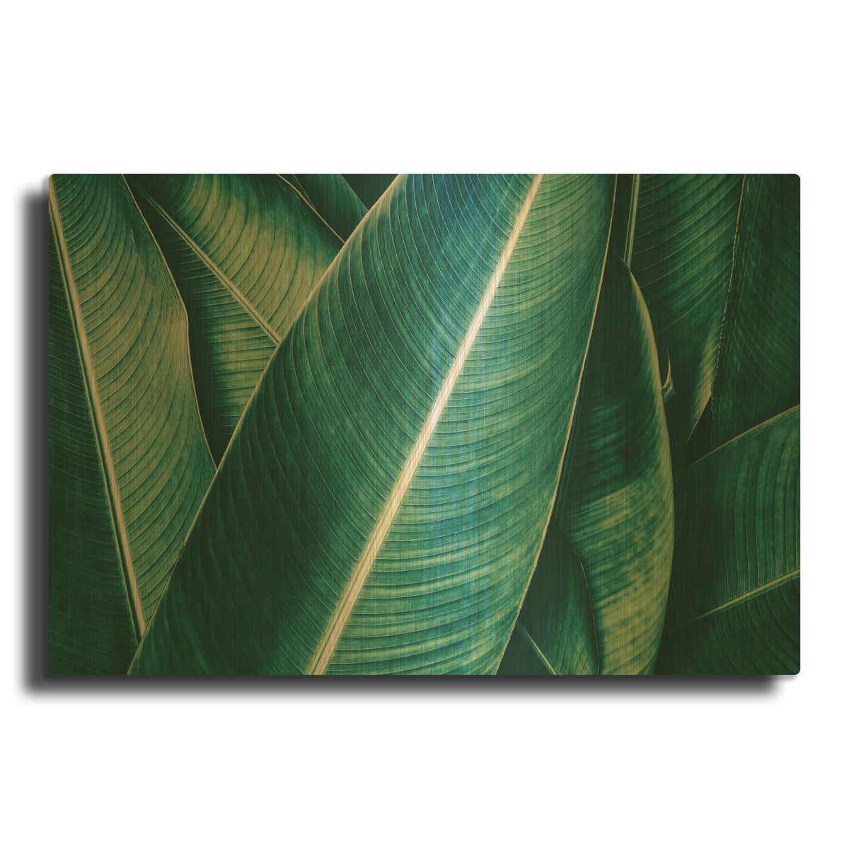 'Banana' By PhotoINC Studio Gold Metal Wall Art