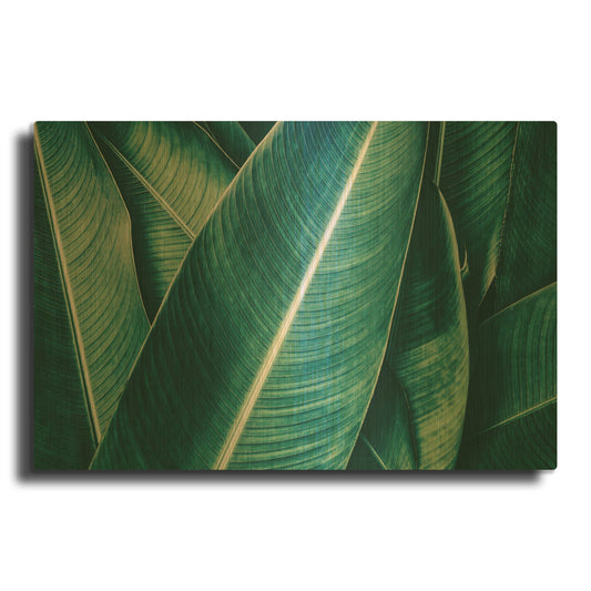 'Banana' By PhotoINC Studio Gold Metal Wall Art
