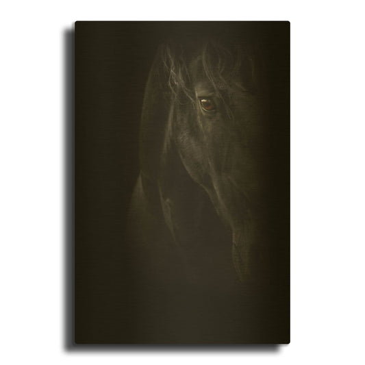 'Black Pearl' By PhotoINC Studio Gold Metal Wall Art