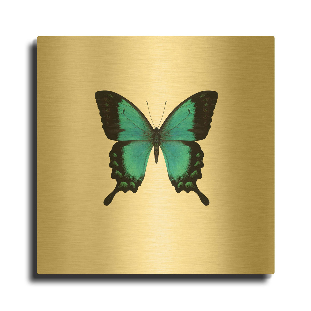 'Blue Butterfly' By PhotoINC Studio Gold Metal Wall Art