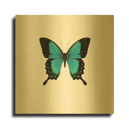 'Blue Butterfly' By PhotoINC Studio Gold Metal Wall Art