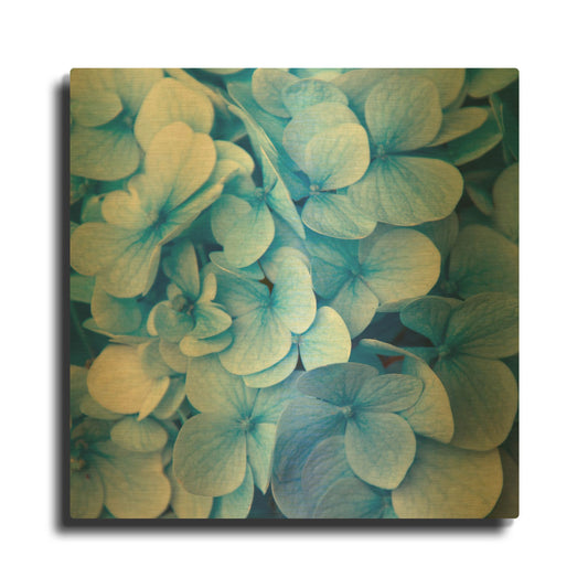 'Blue Flowers' By PhotoINC Studio Gold Metal Wall Art