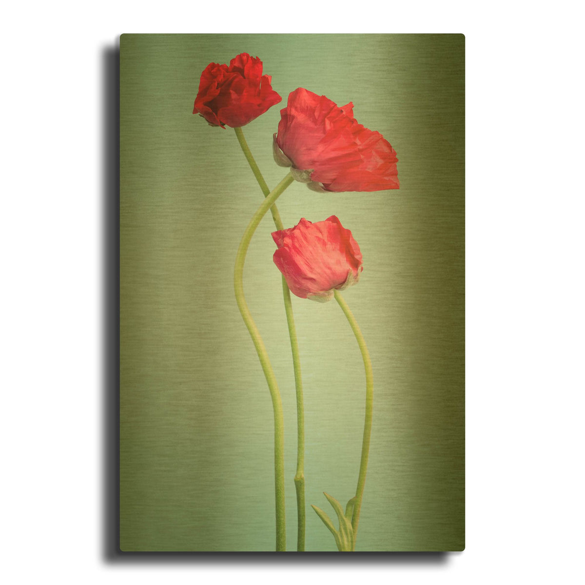 'Blue Poppy' By PhotoINC Studio Gold Metal Wall Art