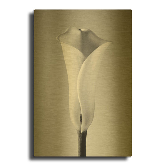 'Calla No. 1' By PhotoINC Studio Gold Metal Wall Art