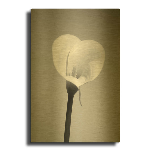 'Calla No. 2' By PhotoINC Studio Gold Metal Wall Art