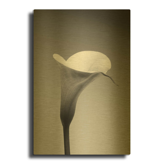 'Calla No. 3' By PhotoINC Studio Gold Metal Wall Art