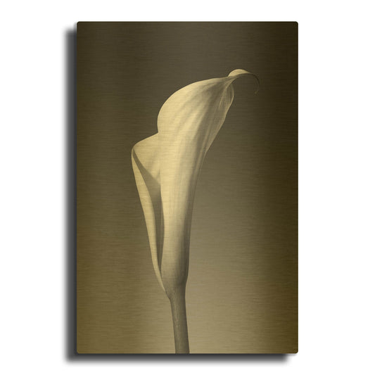 'Calla No. 4' By PhotoINC Studio Gold Metal Wall Art