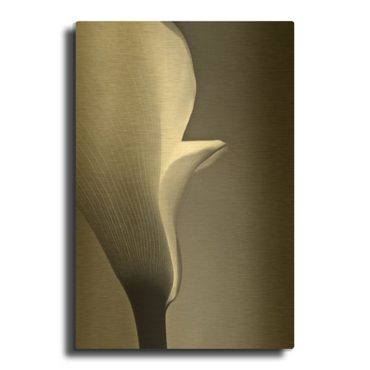 'Calla No. 5' By PhotoINC Studio Gold Metal Wall Art