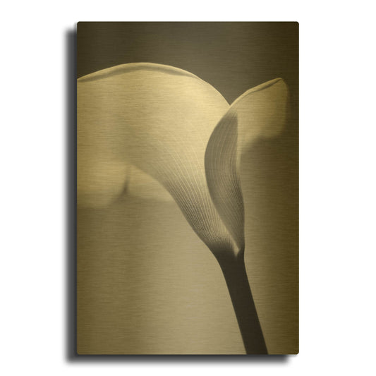 'Calla No. 6' By PhotoINC Studio Gold Metal Wall Art