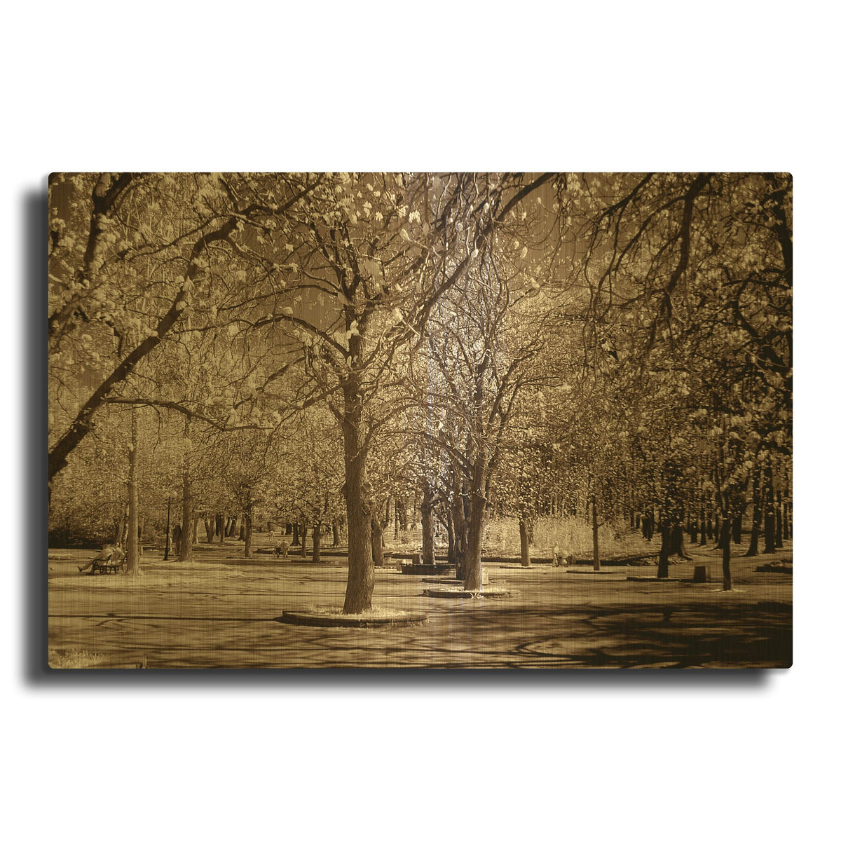 'Cherry Tree Park' By PhotoINC Studio Gold Metal Wall Art