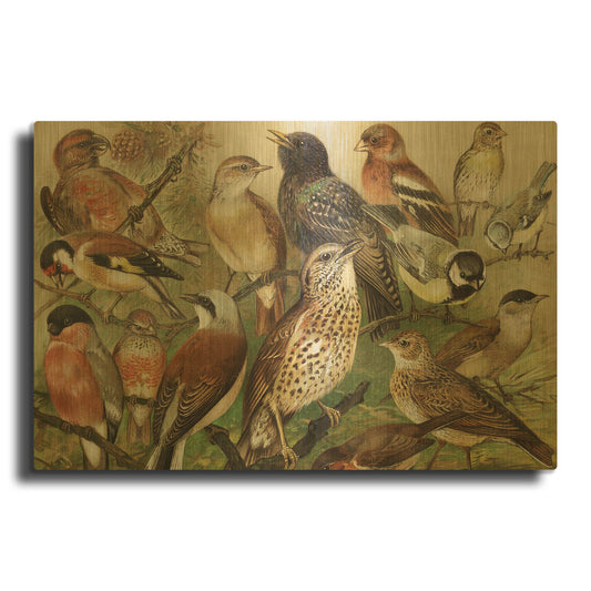 'Collection I' By PhotoINC Studio Gold Metal Wall Art