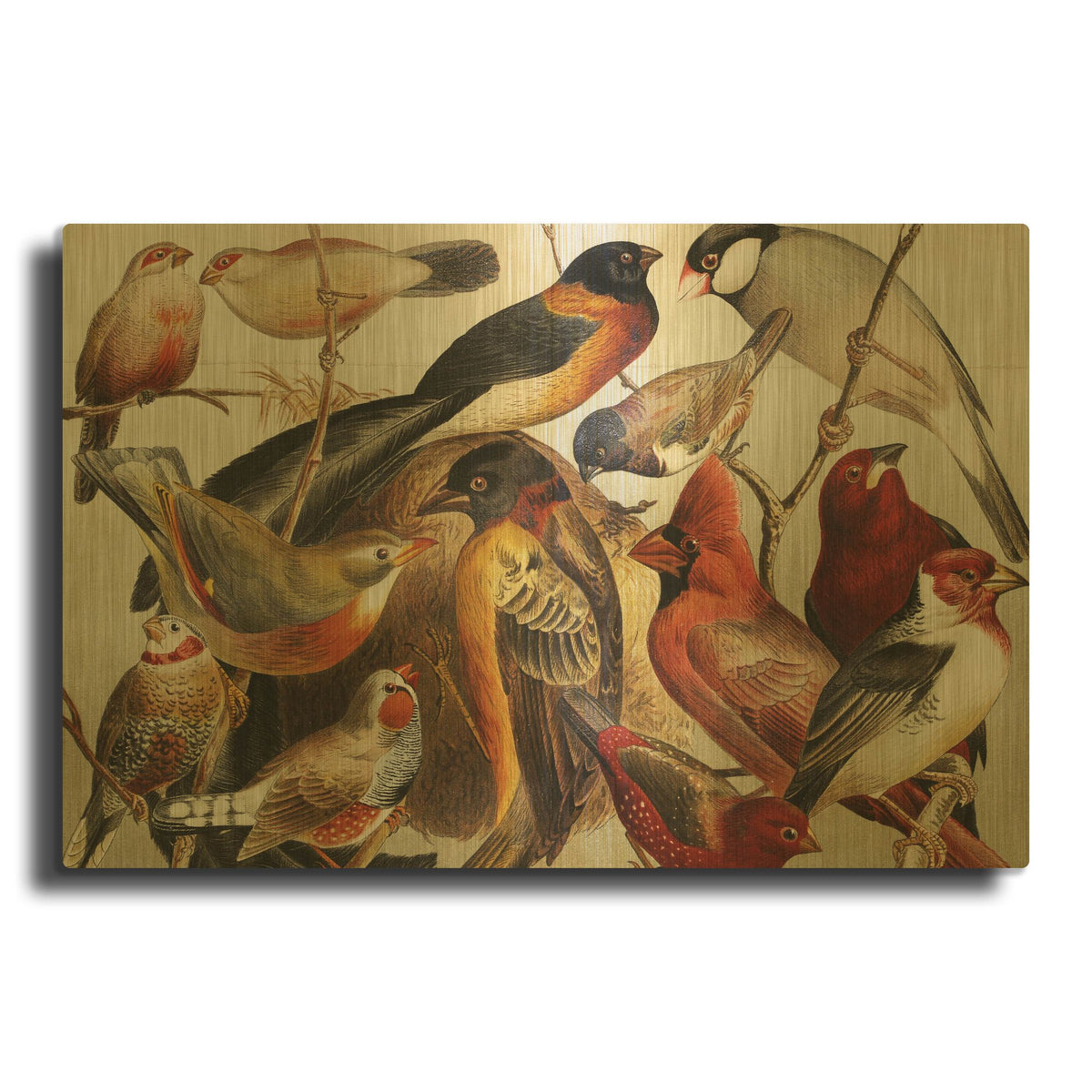 'Collection Ii' By PhotoINC Studio Gold Metal Wall Art