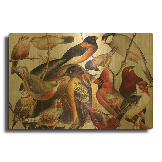 'Collection Ii' By PhotoINC Studio Gold Metal Wall Art
