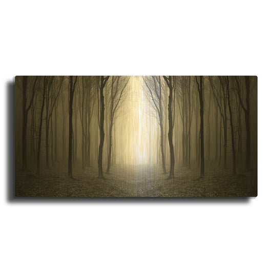 'Dark Woods' By PhotoINC Studio Gold Metal Wall Art