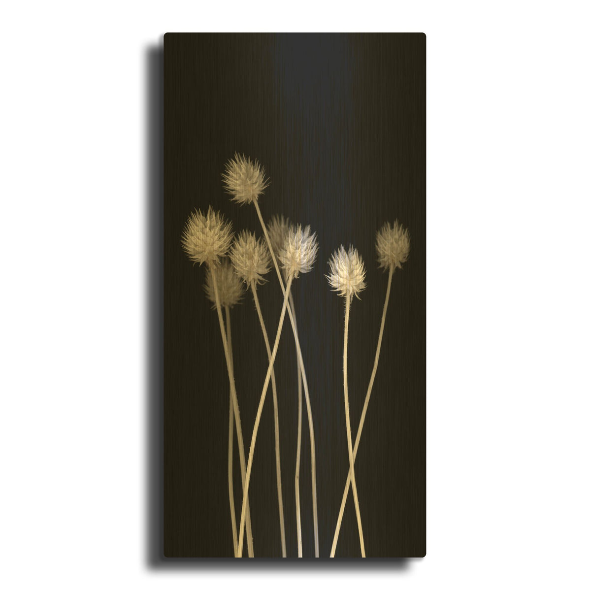 'Dried Up 1' By PhotoINC Studio Gold Metal Wall Art