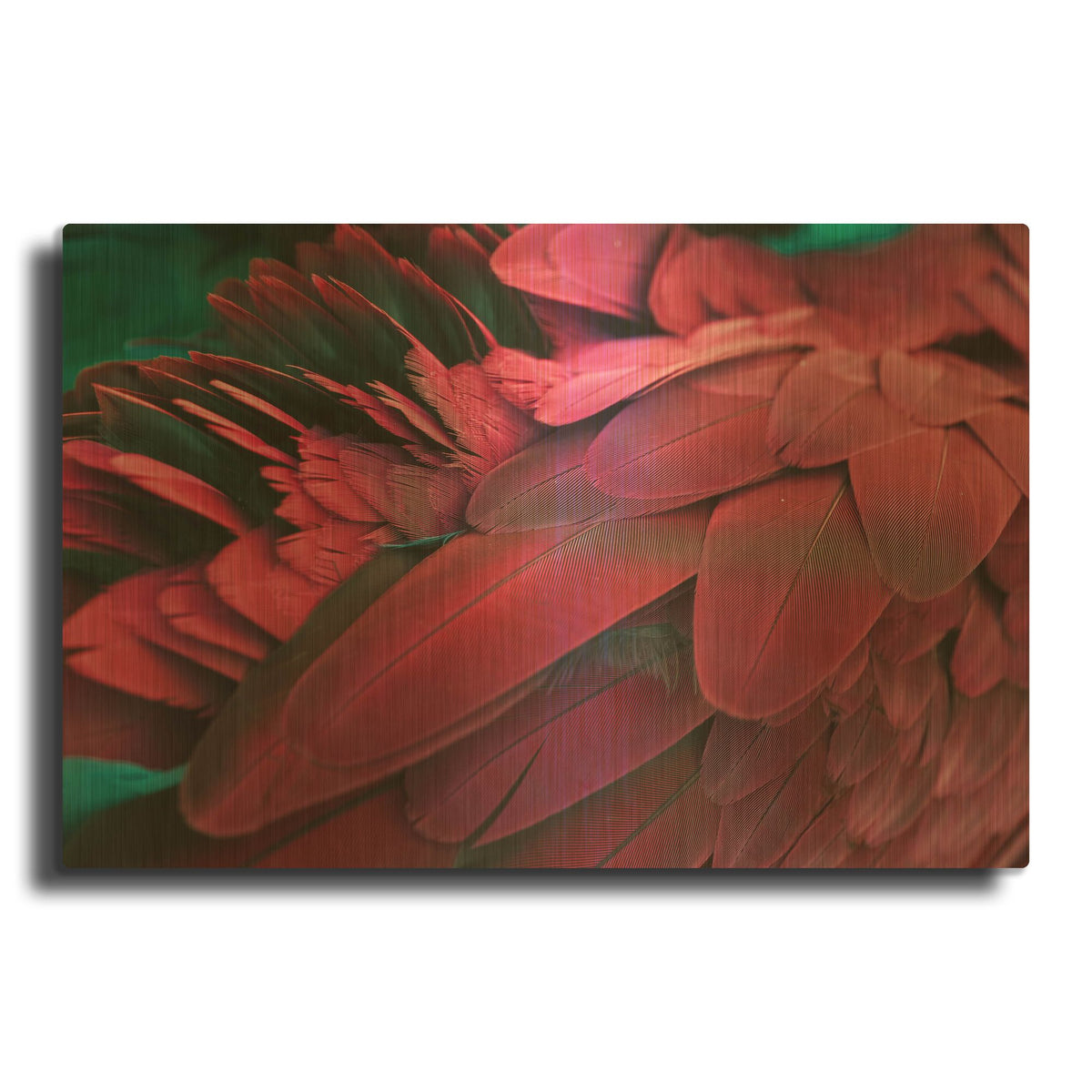 'Feather' By PhotoINC Studio Gold Metal Wall Art