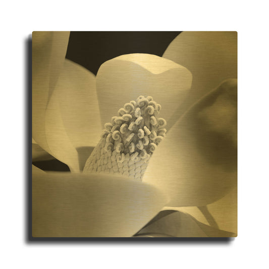 'Fibonacci 1' By PhotoINC Studio Gold Metal Wall Art