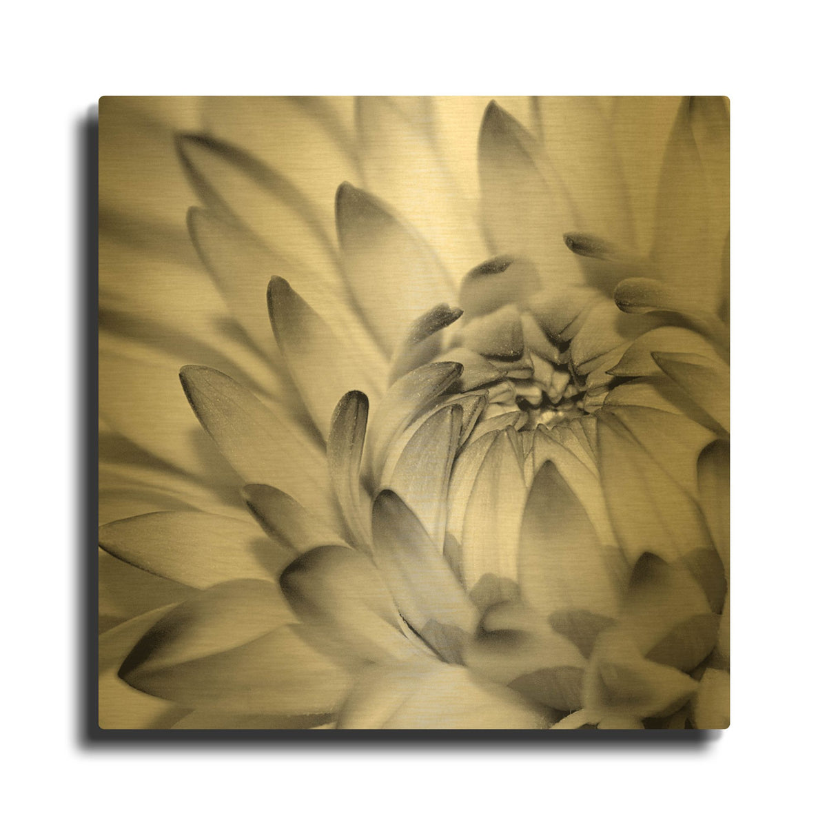 'Fibonacci 2' By PhotoINC Studio Gold Metal Wall Art