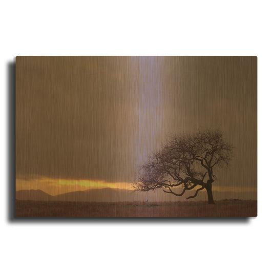 'Field' By PhotoINC Studio Gold Metal Wall Art