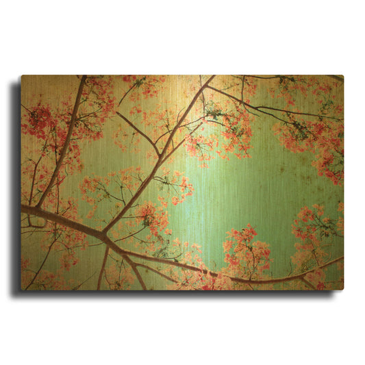 'Flamboyant I' By PhotoINC Studio Gold Metal Wall Art