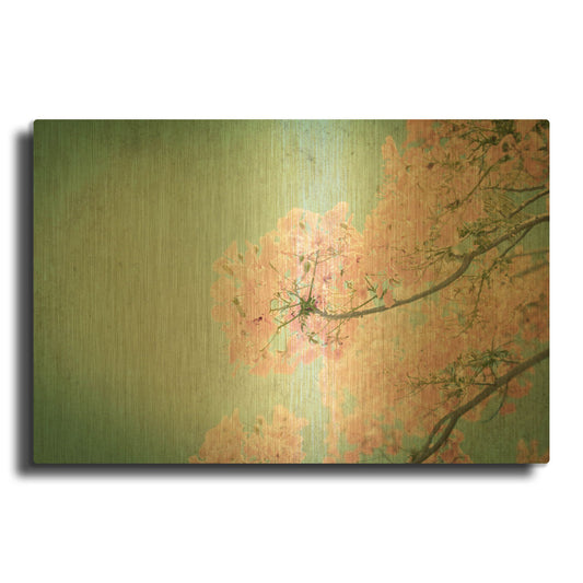 'Flamboyant Ii' By PhotoINC Studio Gold Metal Wall Art