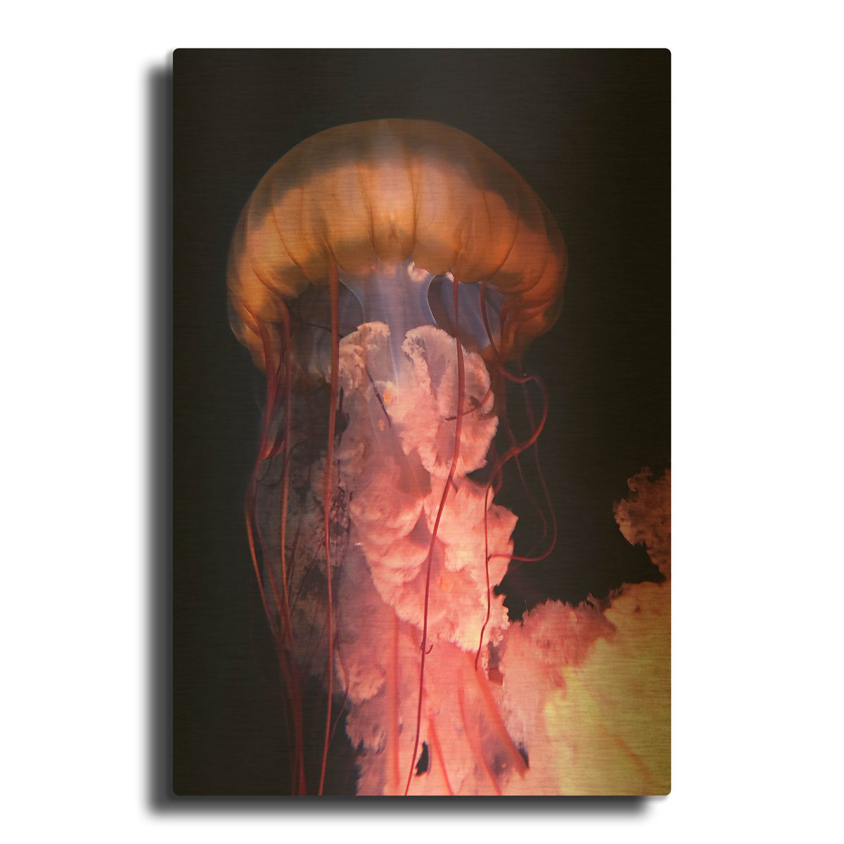 'Gelly' By PhotoINC Studio Gold Metal Wall Art