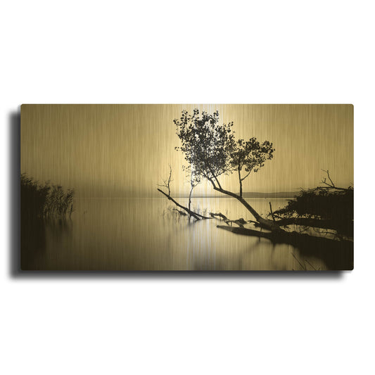 'Great Lake' By PhotoINC Studio Gold Metal Wall Art