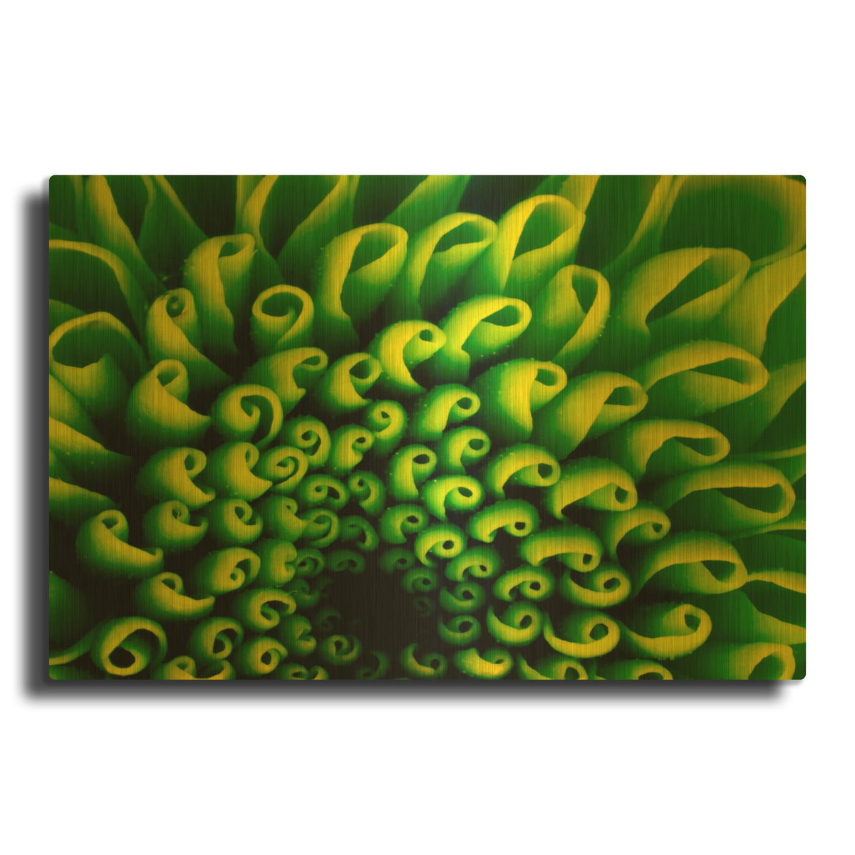 'Green Design 1' By PhotoINC Studio Gold Metal Wall Art
