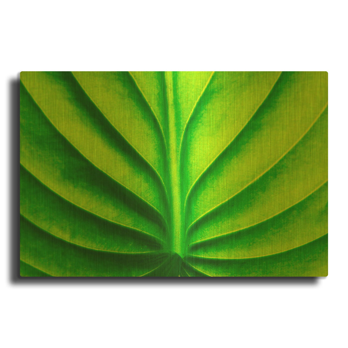 'Green Design 2' By PhotoINC Studio Gold Metal Wall Art