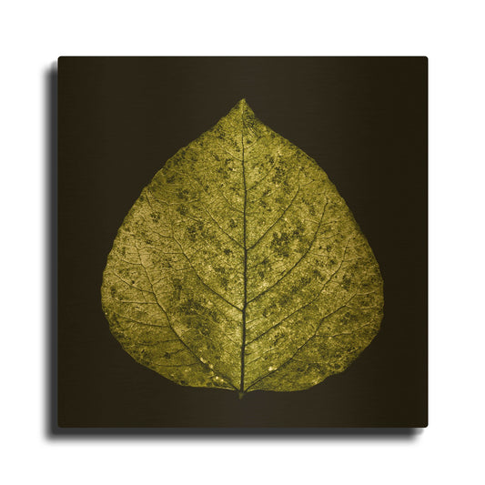 'Green Leaf' By PhotoINC Studio Gold Metal Wall Art