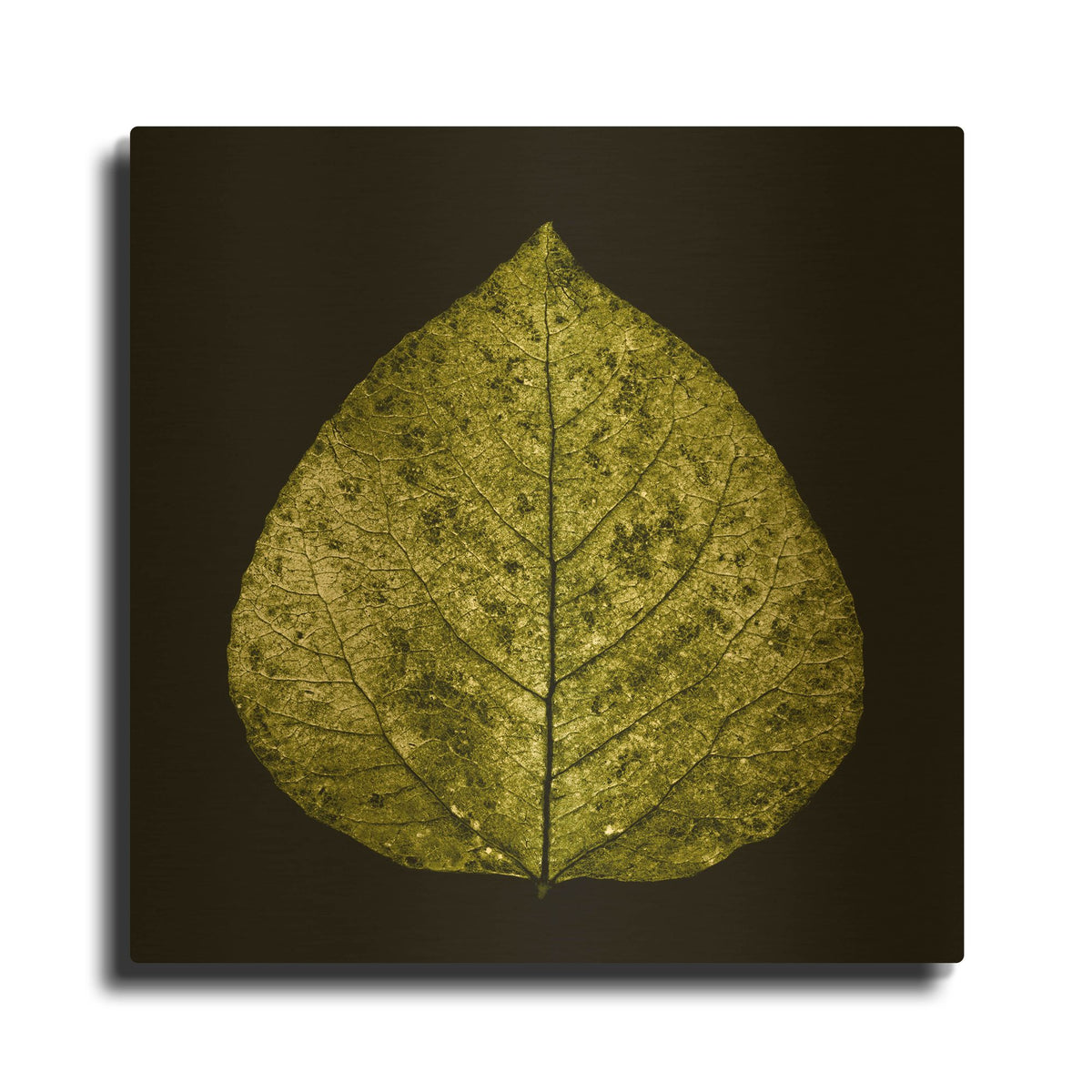 'Green Leaf' By PhotoINC Studio Gold Metal Wall Art
