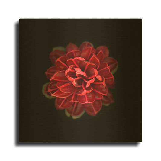 'In Red' By PhotoINC Studio Gold Metal Wall Art