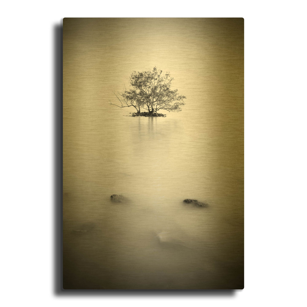 'In The Mist 2' By PhotoINC Studio Gold Metal Wall Art