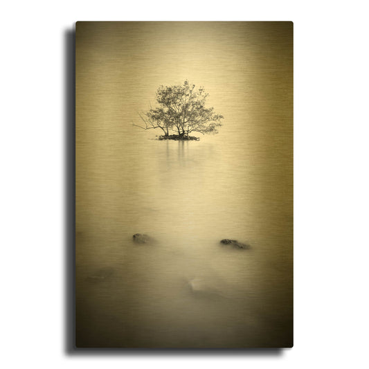 'In The Mist 2' By PhotoINC Studio Gold Metal Wall Art