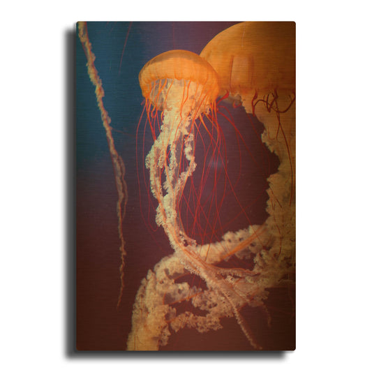 'Jelly 3' By PhotoINC Studio Gold Metal Wall Art