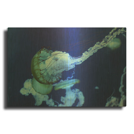 'Jelly' By PhotoINC Studio Gold Metal Wall Art