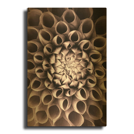 'Just Open' By PhotoINC Studio Gold Metal Wall Art