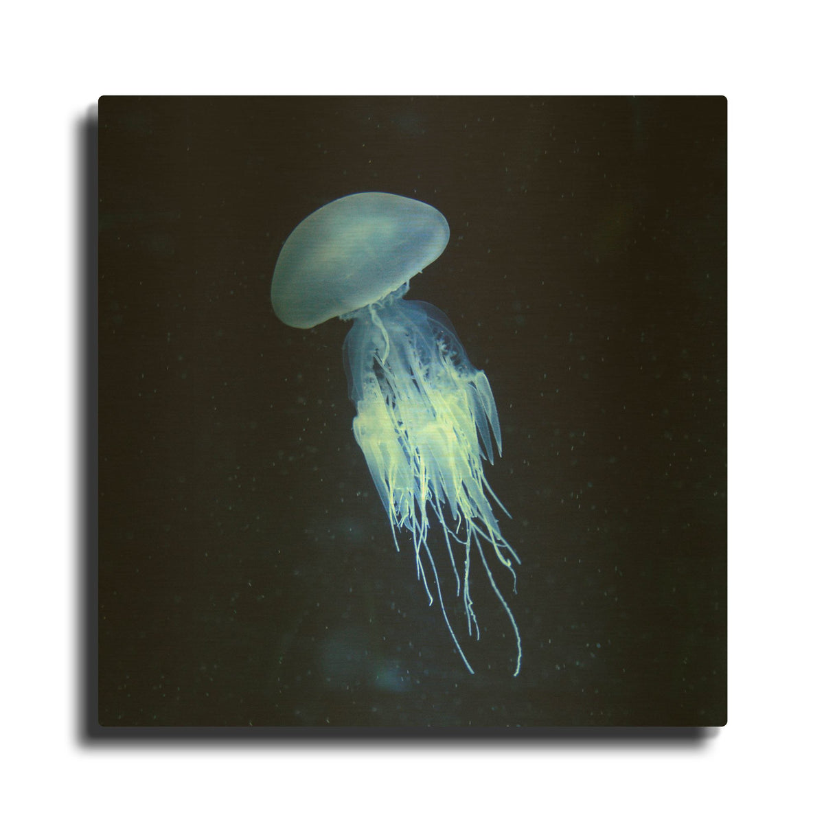 'Luminescent Jellyfish' By PhotoINC Studio Gold Metal Wall Art