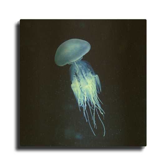 'Luminescent Jellyfish' By PhotoINC Studio Gold Metal Wall Art