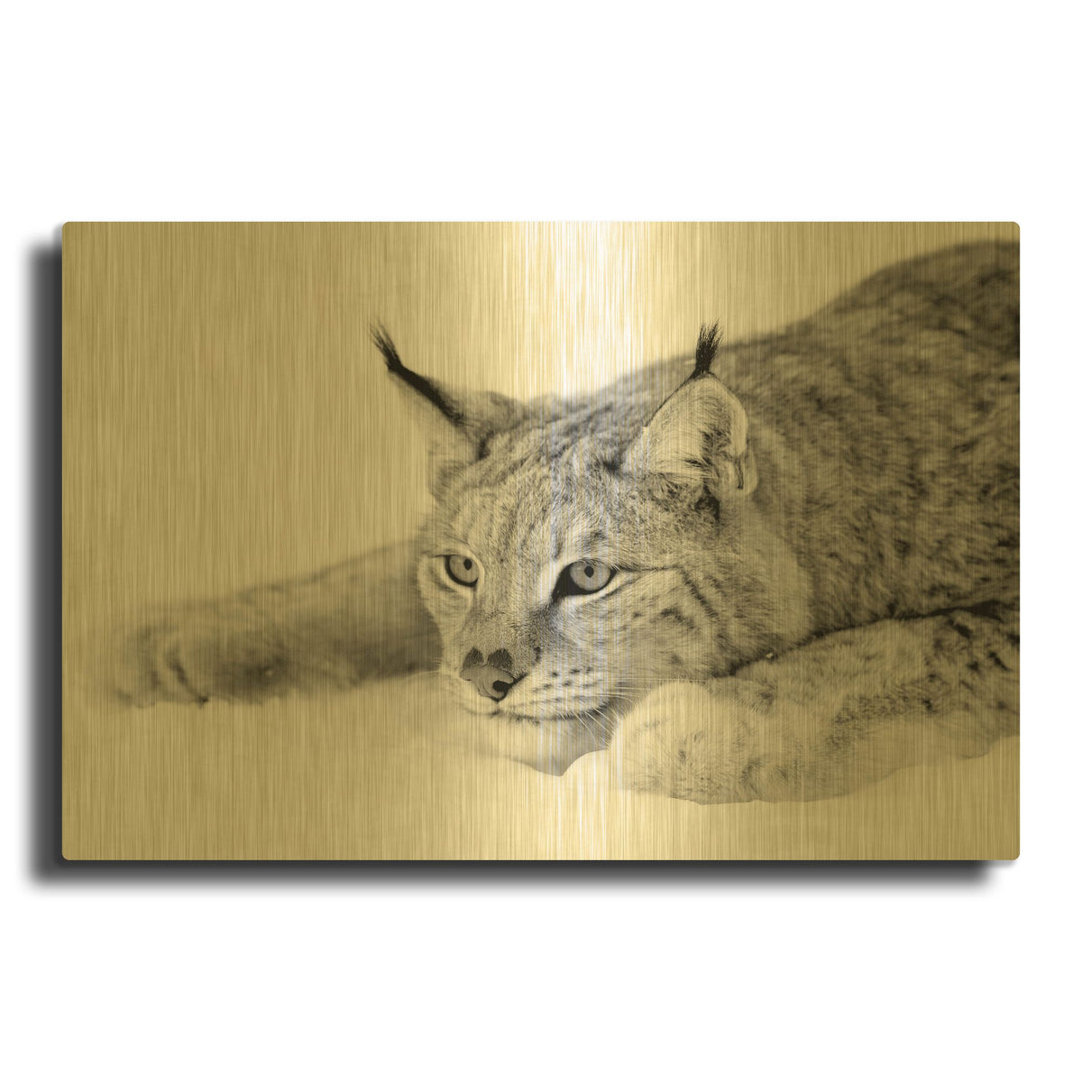 'Lynx 1' By PhotoINC Studio Gold Metal Wall Art