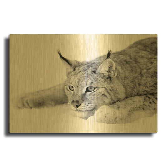'Lynx 1' By PhotoINC Studio Gold Metal Wall Art