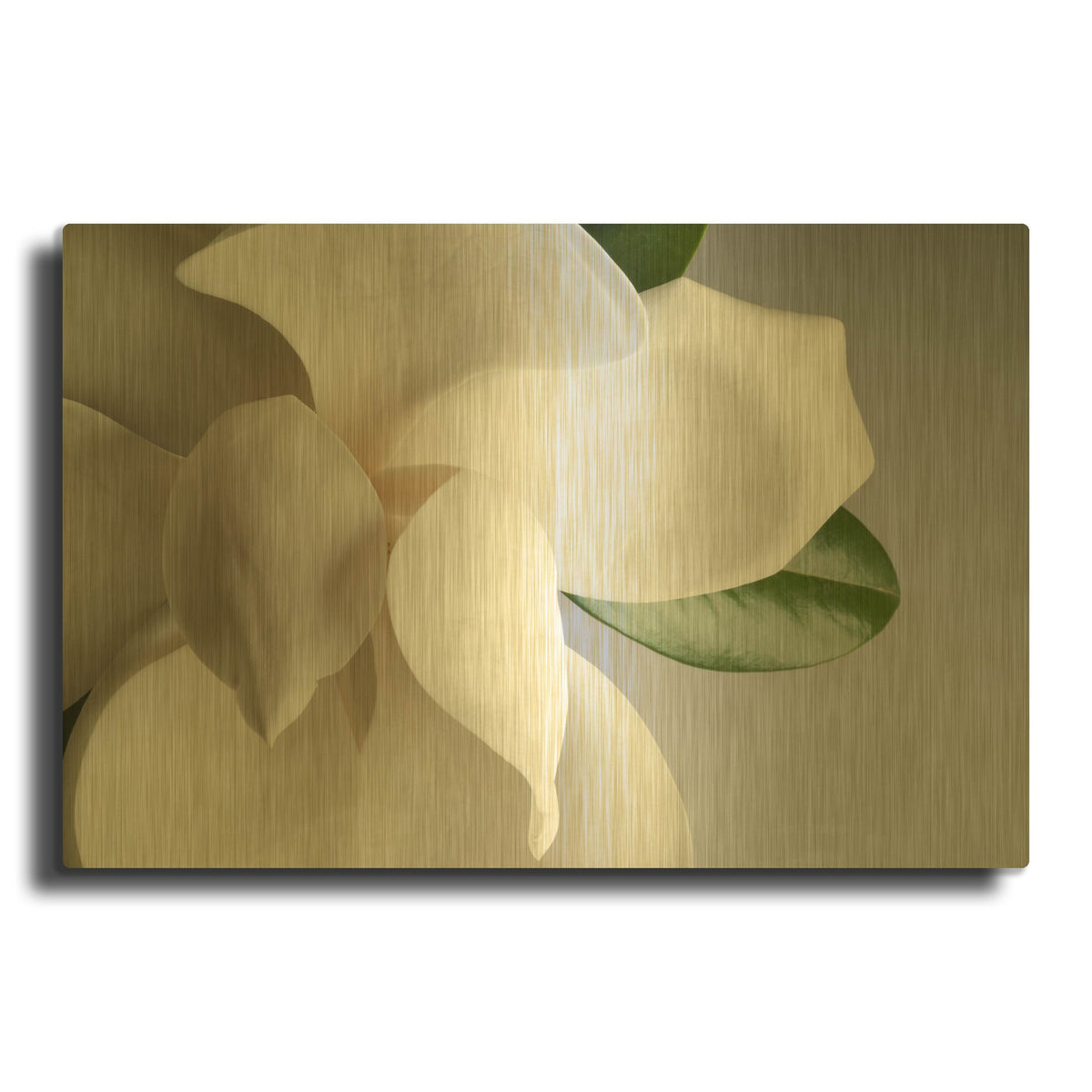 'Magnolia' By PhotoINC Studio Gold Metal Wall Art