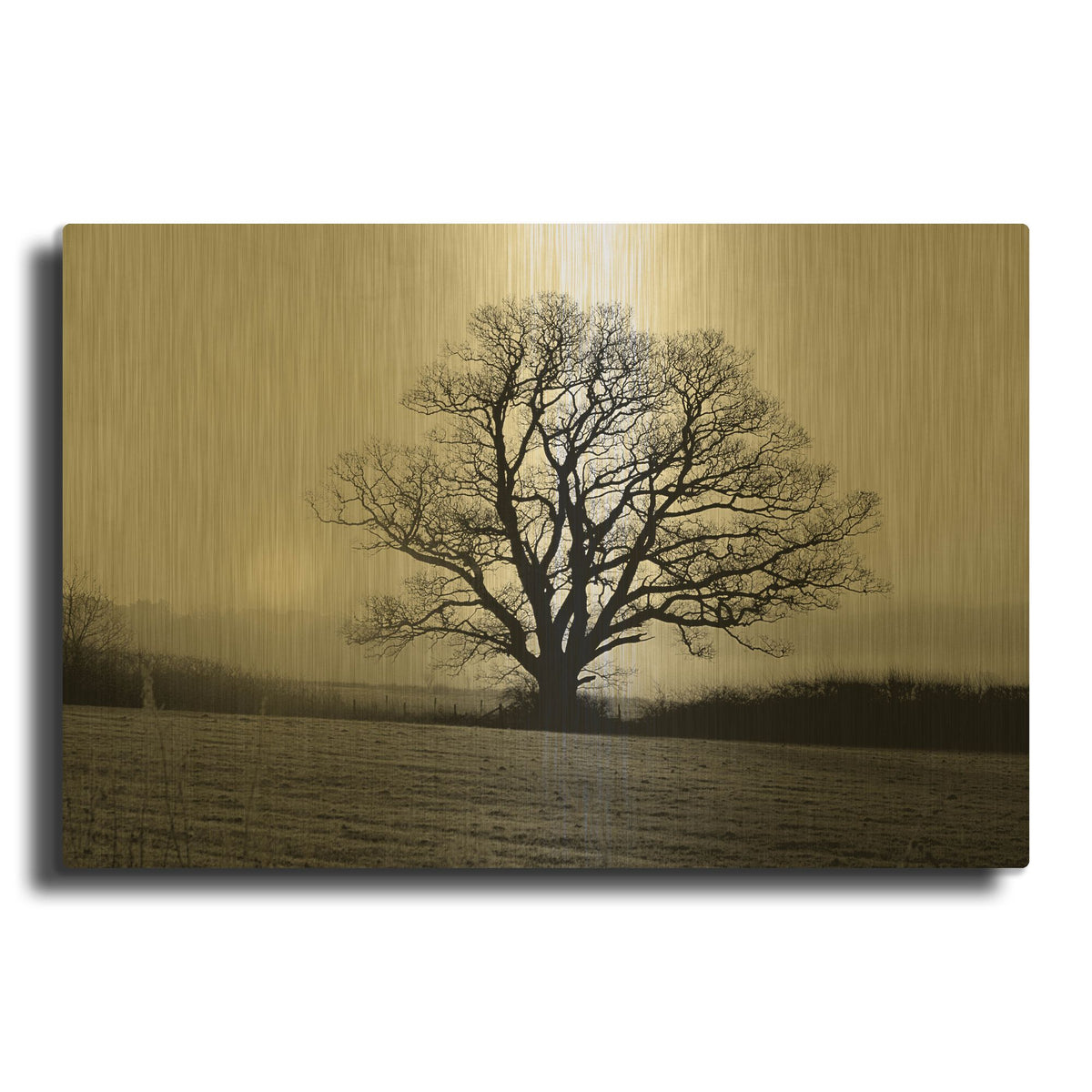 'Meadow Tree' By PhotoINC Studio Gold Metal Wall Art