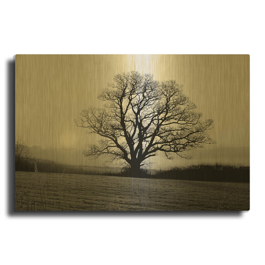 'Meadow Tree' By PhotoINC Studio Gold Metal Wall Art