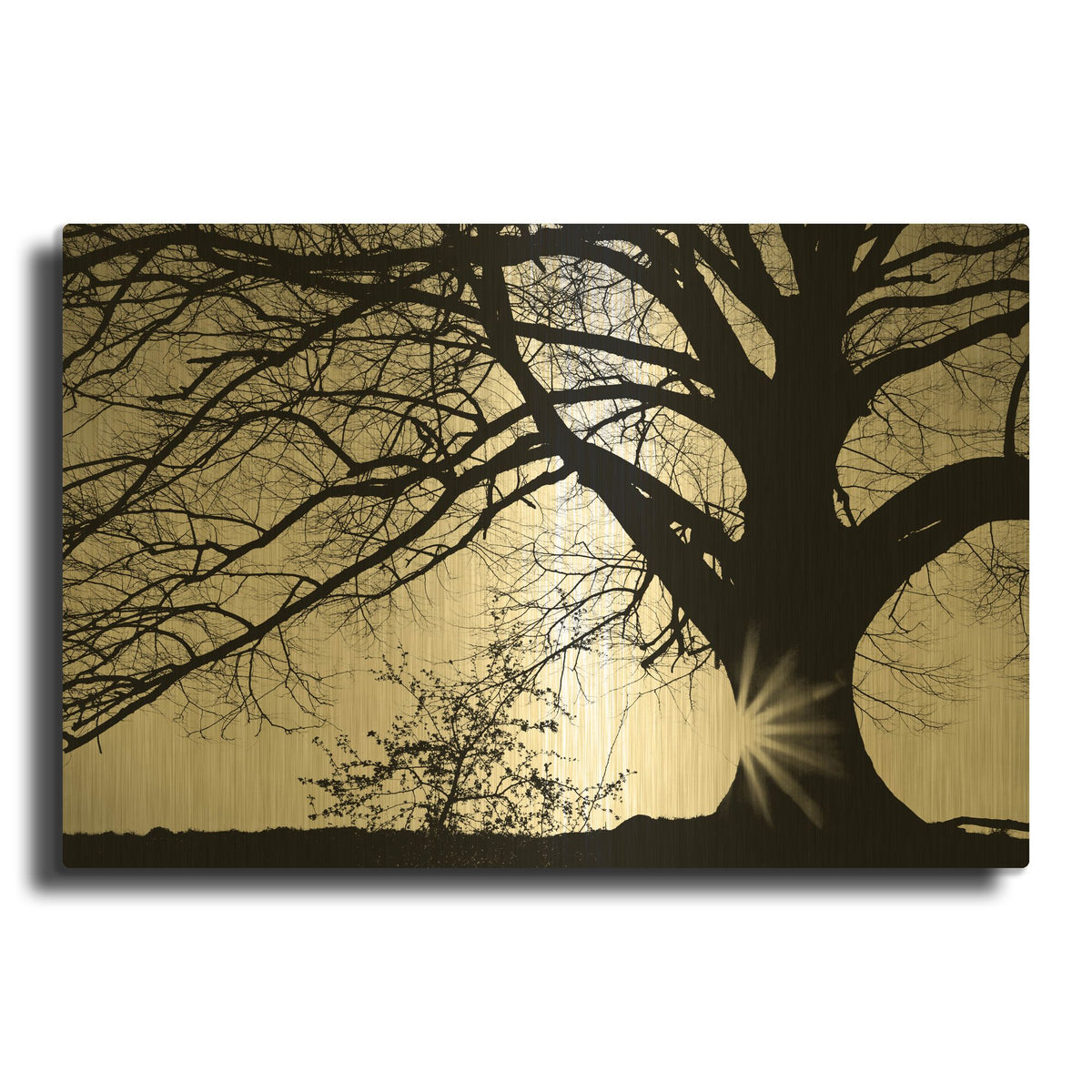 'Oak Silhouette' By PhotoINC Studio Gold Metal Wall Art
