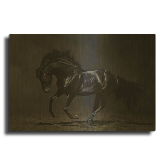 'Onyx' By PhotoINC Studio Gold Metal Wall Art