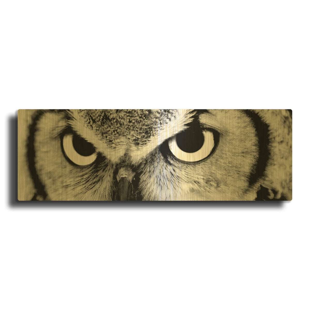 'Owl' By PhotoINC Studio Gold Metal Wall Art