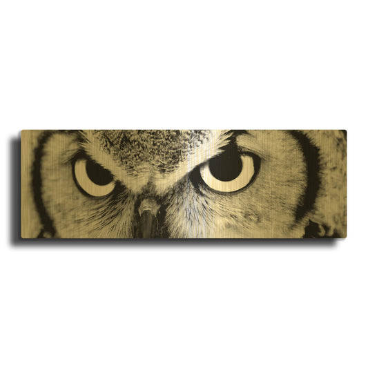 'Owl' By PhotoINC Studio Gold Metal Wall Art